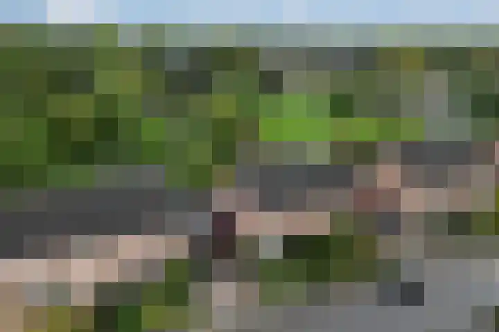 Zadelmakerstraat 71 Duiven thumbnail 5