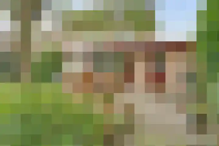 Zadelmakerstraat 71 Duiven thumbnail 61