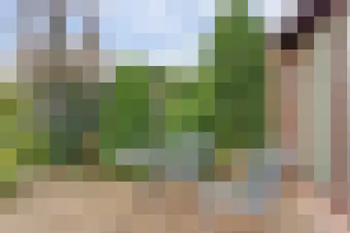 Zadelmakerstraat 71 Duiven thumbnail 64