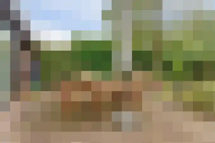 Zadelmakerstraat 71 Duiven thumbnail 65