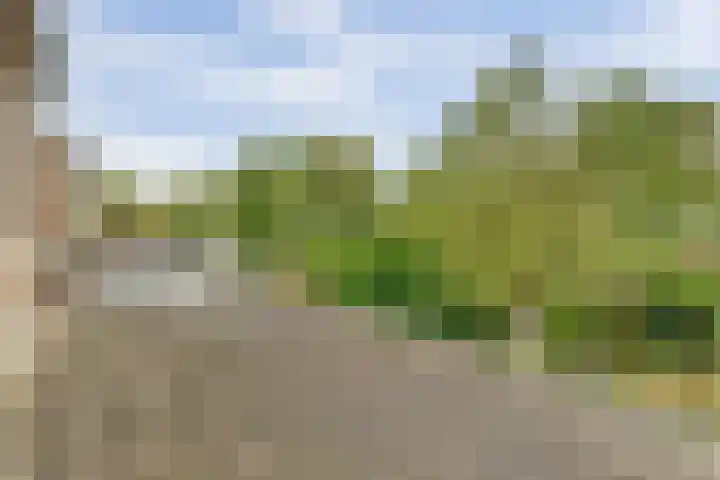 Zadelmakerstraat 71 Duiven thumbnail 69
