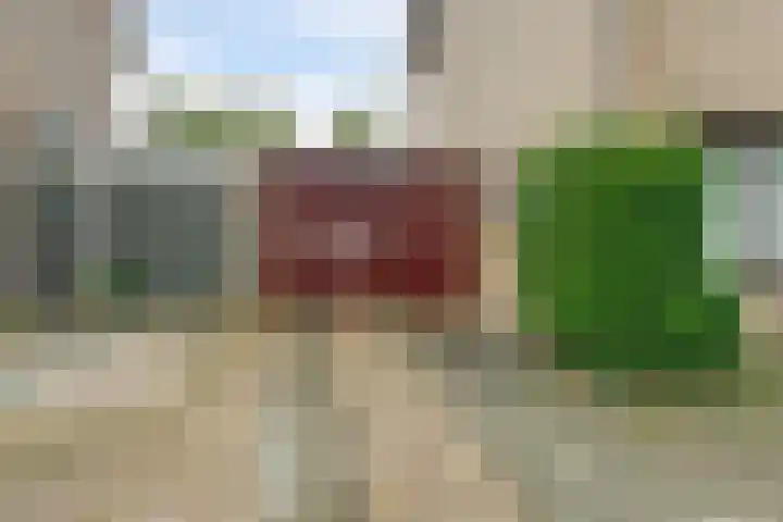 Zadelmakerstraat 71 Duiven thumbnail 8