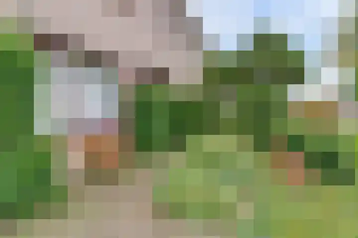 Zadelmakerstraat 71 Duiven thumbnail 9