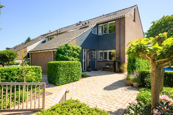 Zadelrob 2 in Huizen foto