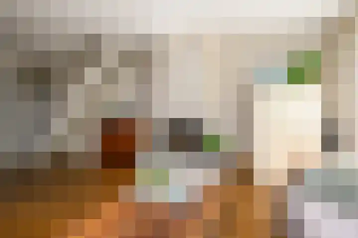 Zadelrob 2 Huizen thumbnail 12