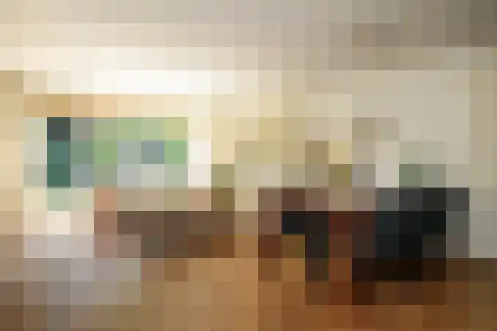 Zadelrob 2 Huizen thumbnail 14