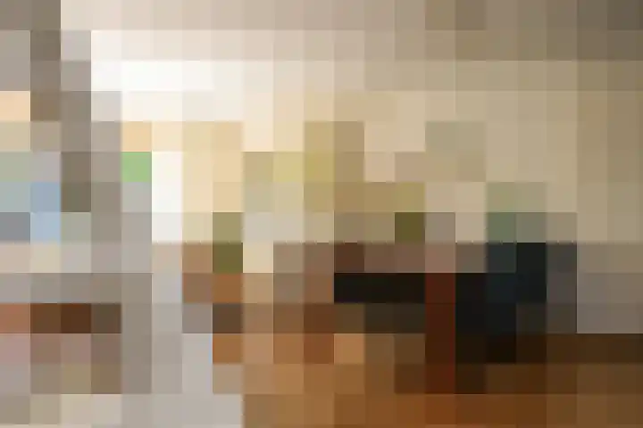 Zadelrob 2 Huizen thumbnail 15