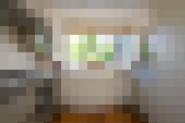 Zadelrob 2 Huizen thumbnail 17