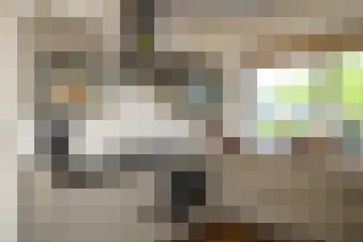 Zadelrob 2 Huizen thumbnail 18