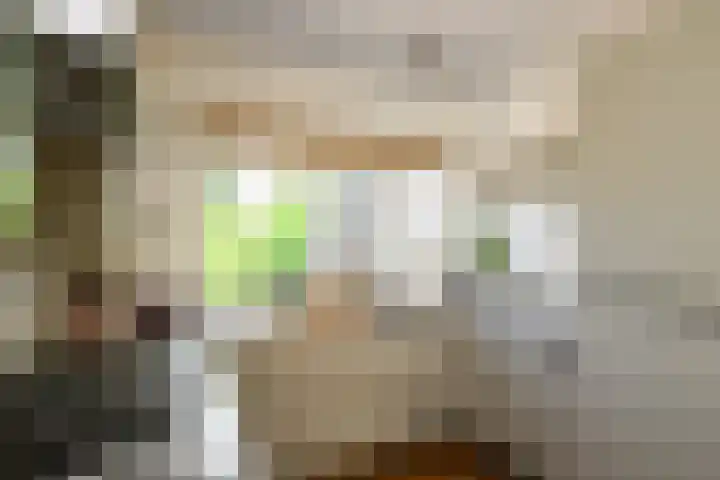 Zadelrob 2 Huizen thumbnail 19