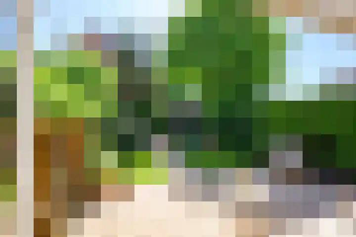 Zadelrob 2 Huizen thumbnail 20