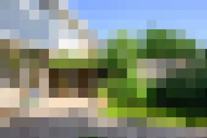 Zadelrob 2 Huizen thumbnail 23