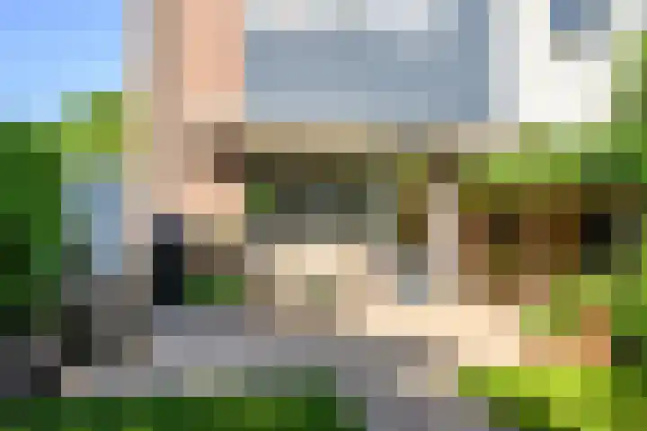 Zadelrob 2 Huizen thumbnail 24