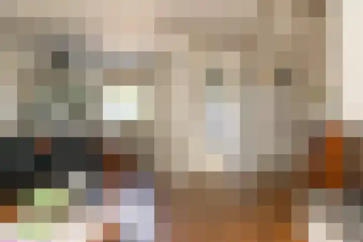 Zadelrob 2 Huizen thumbnail 25