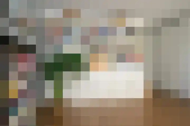 Zadelrob 2 Huizen thumbnail 26