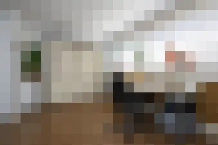 Zadelrob 2 Huizen thumbnail 28