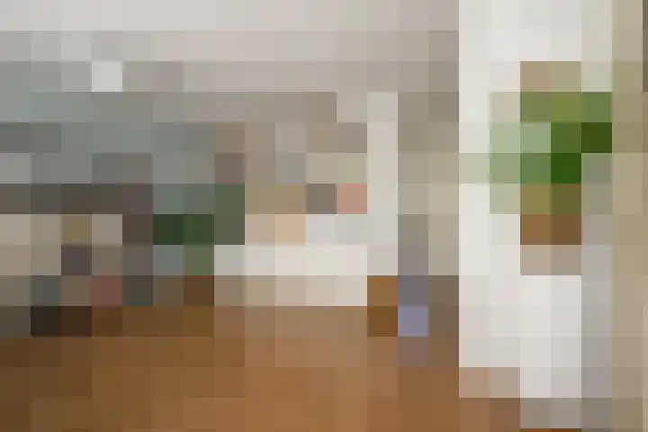 Zadelrob 2 Huizen thumbnail 29