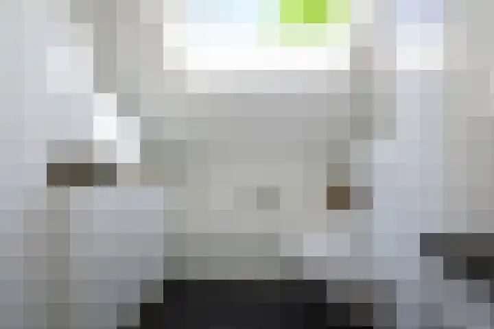 Zadelrob 2 Huizen thumbnail 33