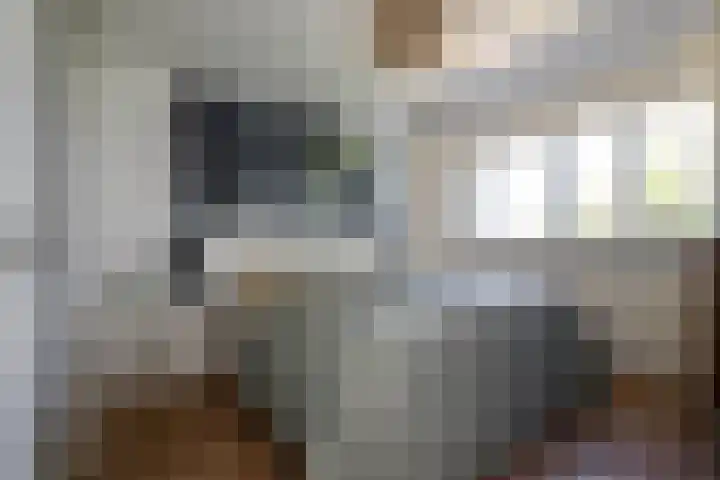 Zadelrob 2 Huizen thumbnail 35