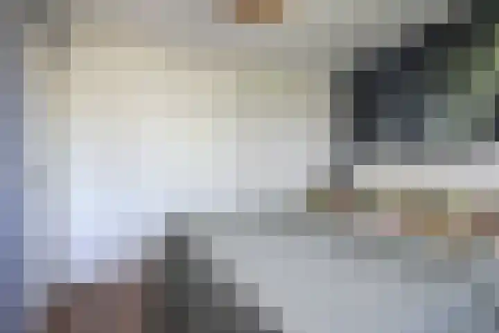 Zadelrob 2 Huizen thumbnail 36