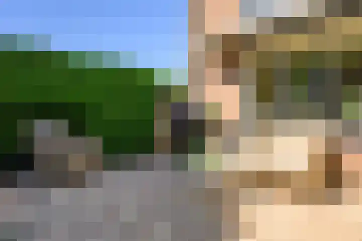 Zadelrob 2 Huizen thumbnail 44