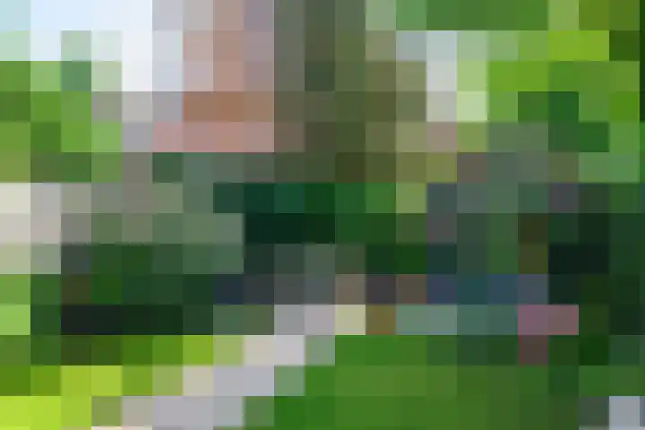 Zadelrob 2 Huizen thumbnail 45
