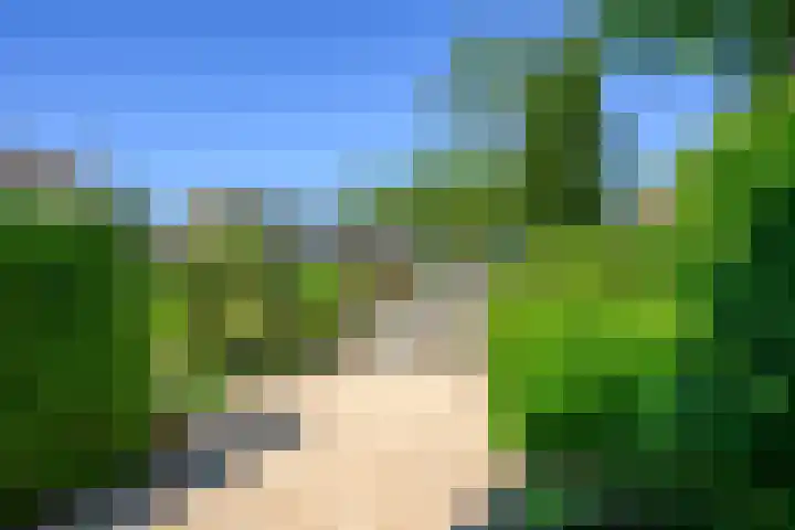 Zadelrob 2 Huizen thumbnail 47