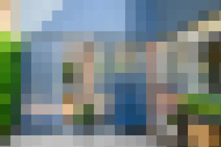 Zadelrob 2 Huizen thumbnail 5