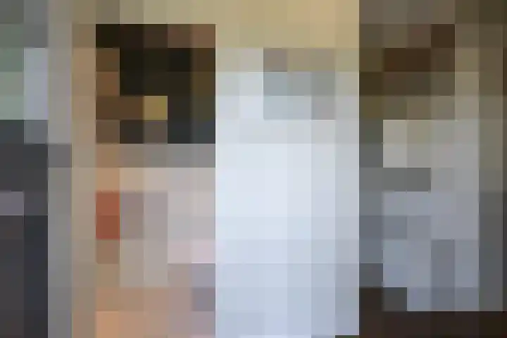 Zadelrob 2 Huizen thumbnail 9