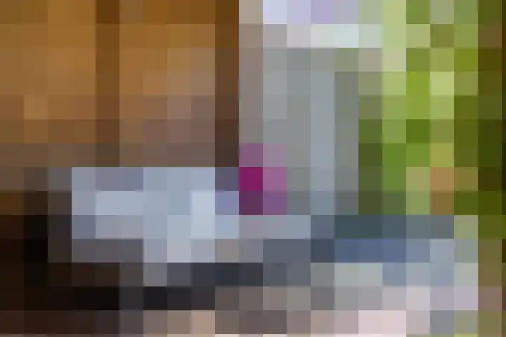 Zagerij 12 Arnhem thumbnail 25