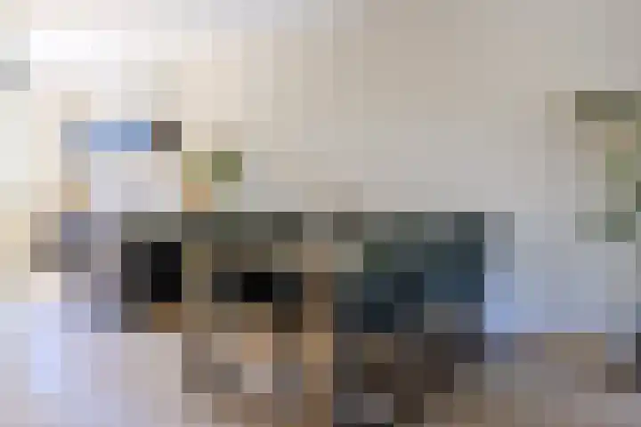 Zagerij 12 Arnhem thumbnail 6