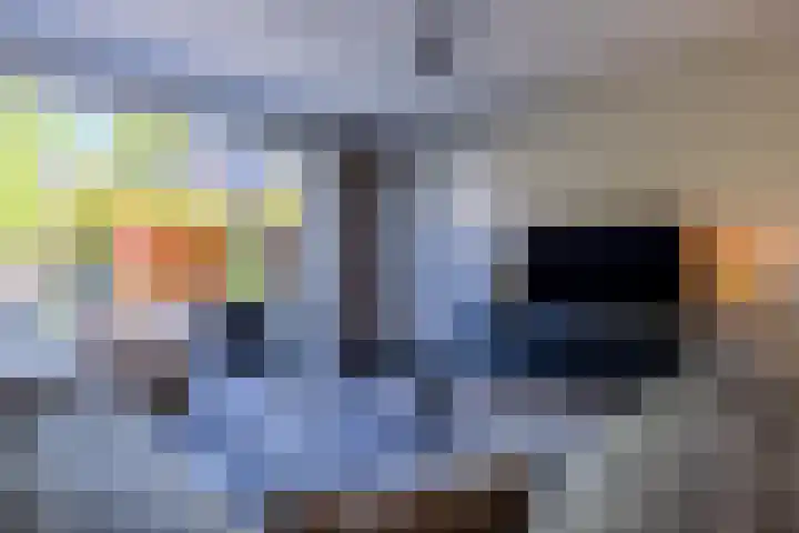 Zagerij 12 Arnhem thumbnail 8