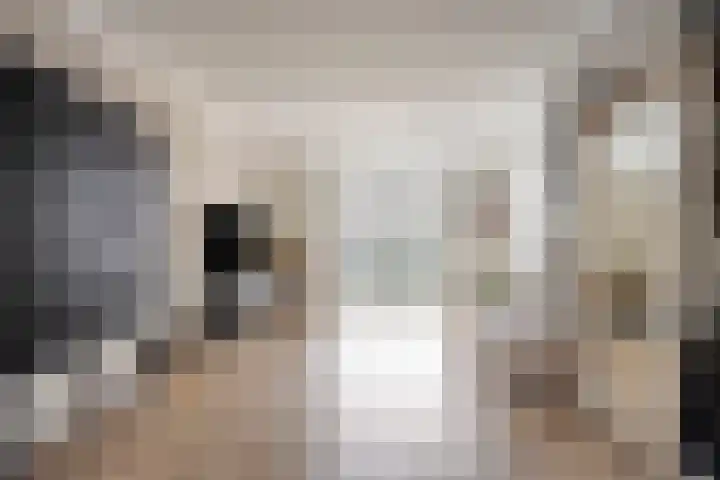 Zagerij 18 Arnhem thumbnail 12