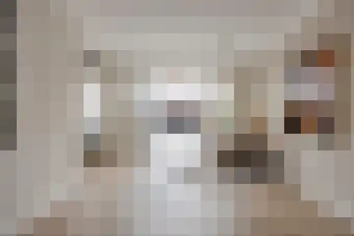 Zagerij 18 Arnhem thumbnail 16