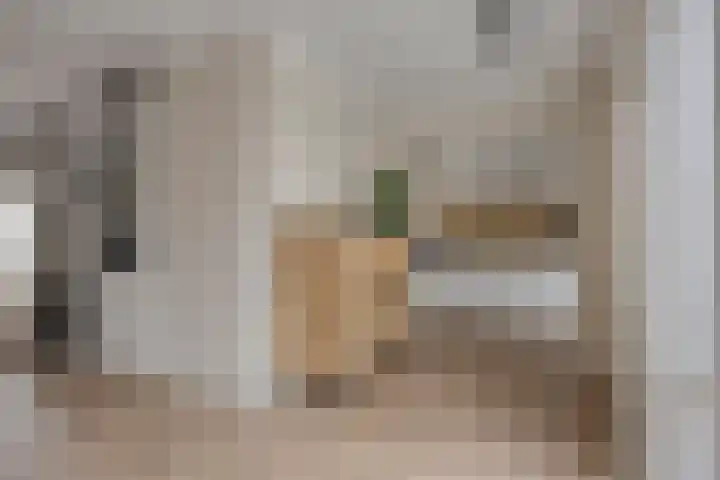Zagerij 18 Arnhem thumbnail 19