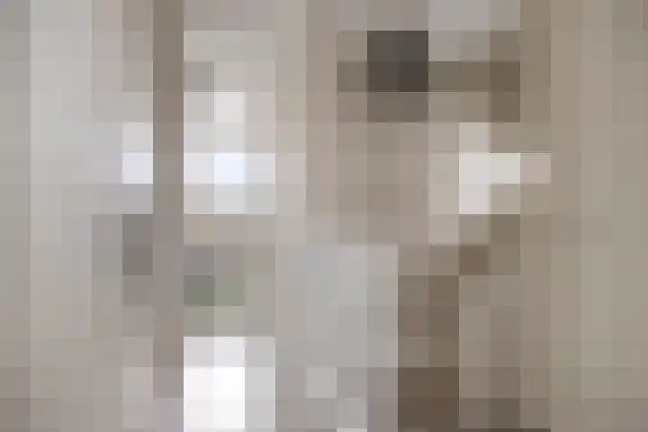 Zagerij 18 Arnhem thumbnail 30