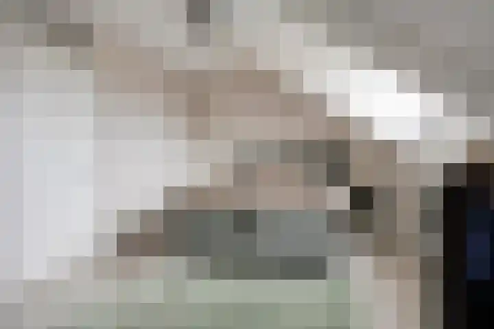 Zagerij 18 Arnhem thumbnail 31