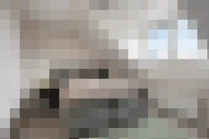 Zagerij 18 Arnhem thumbnail 32