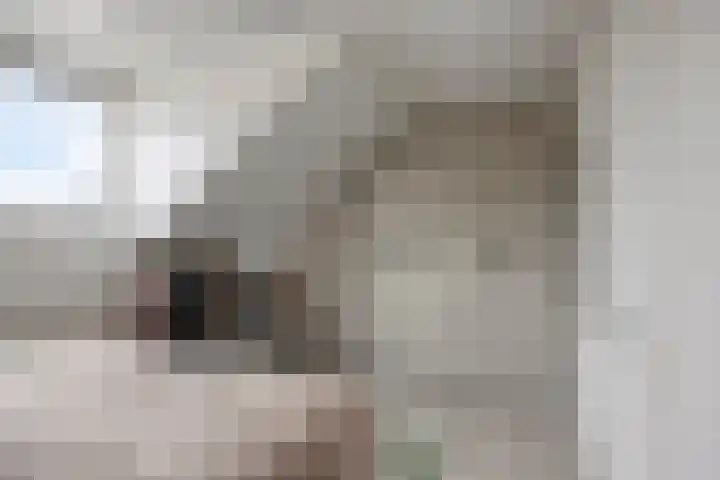Zagerij 18 Arnhem thumbnail 33