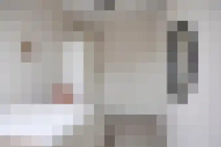 Zagerij 18 Arnhem thumbnail 36