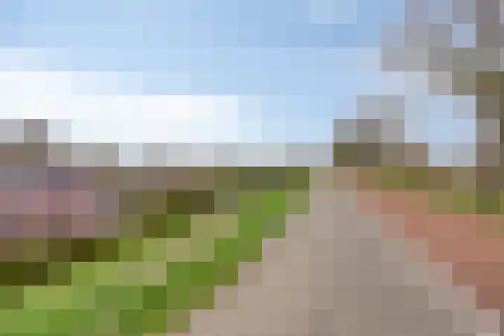 Zagerij 18 Arnhem thumbnail 45