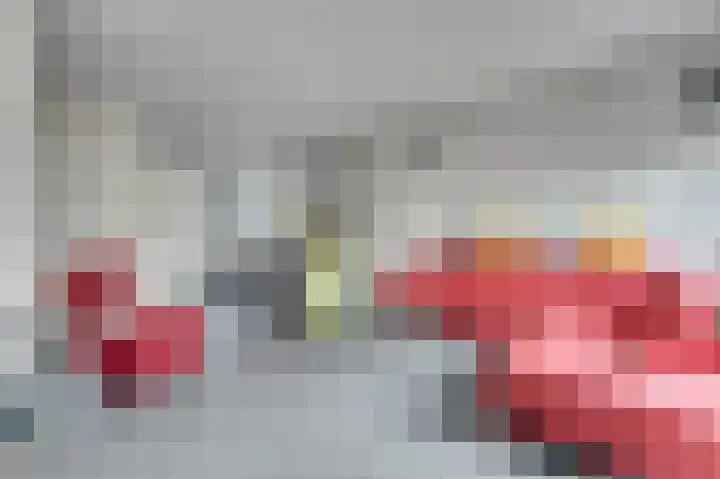 Zagerij 2 Best foto 2