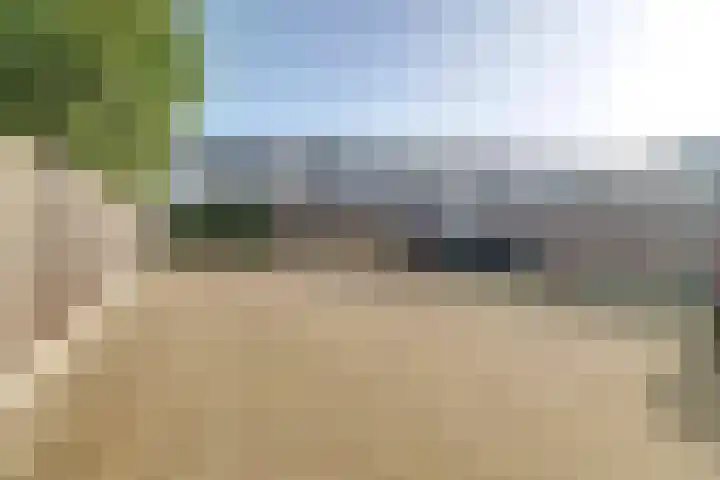 Zagerij 2 Best thumbnail 33