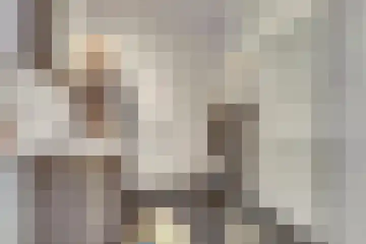 Zagerij 2 Best thumbnail 4