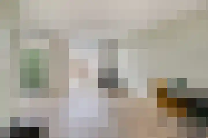 Zagerij 3 Best thumbnail 13