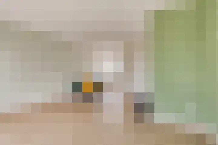 Zagerij 3 Best thumbnail 14
