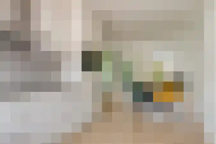 Zagerij 3 Best thumbnail 16