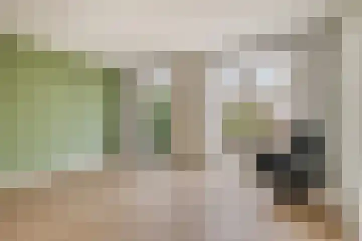 Zagerij 3 Best foto 2