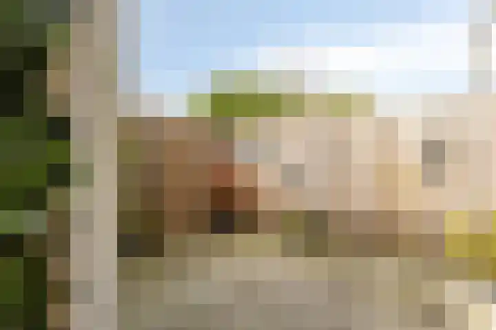 Zagerij 3 Best thumbnail 24