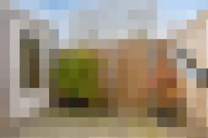 Zagerij 3 Best thumbnail 25